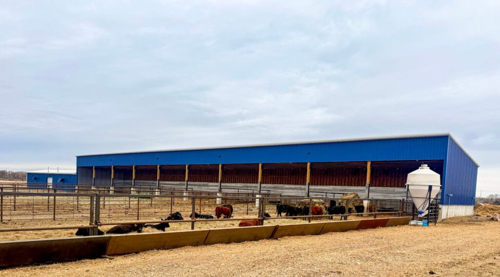 sdsu livestock transient facility exterior open air barn general contracting brookings south dakota