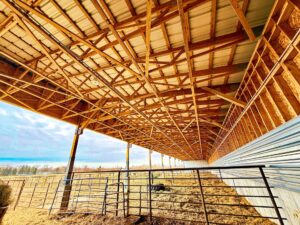 sdsu livestock facility interior framing wood trusses roof structure brookings sd
